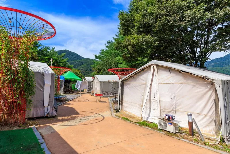 젠틀펫 파라다이스 2