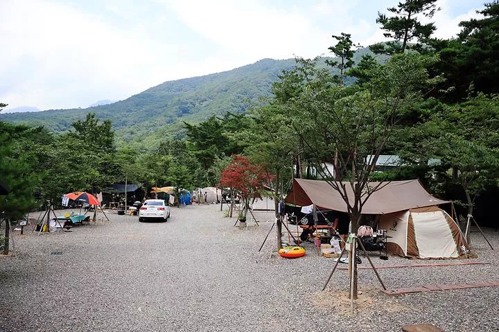 오색 산새소리캠핑장 1