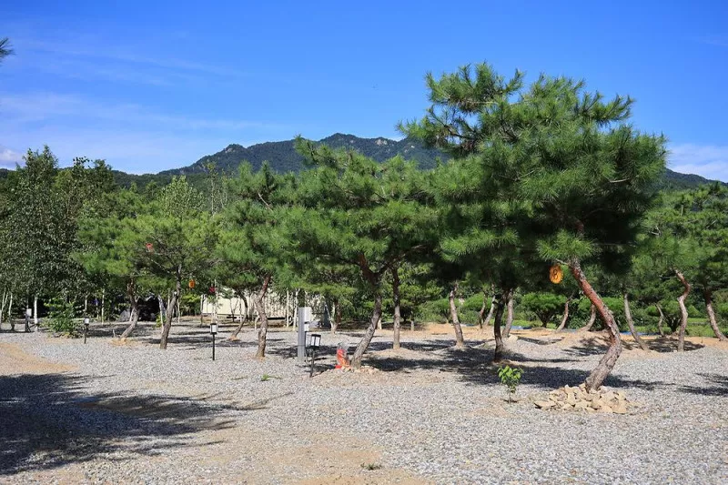 사발소캠핑장 7