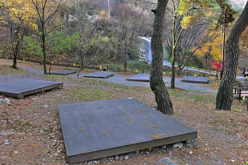 박달재 자연휴양림캠핑장 9