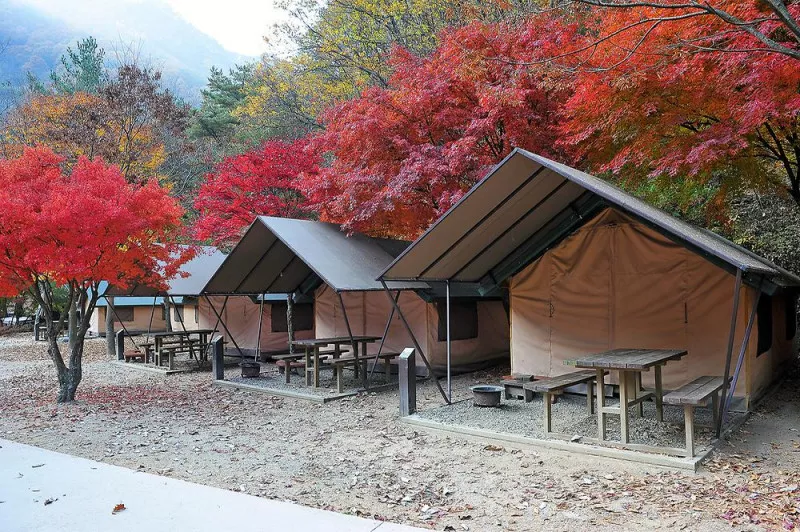 소백산국립공원 남천야영장 6