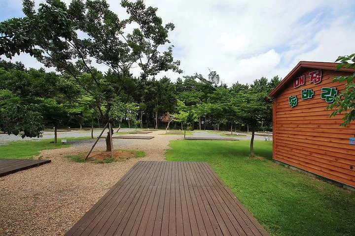 솔바람 캠핑장