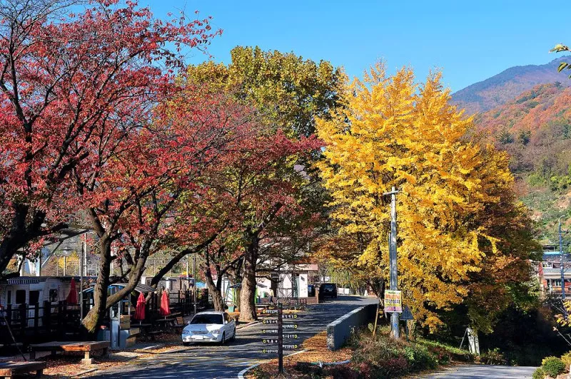 영주시 소백산역 캠핑장 3