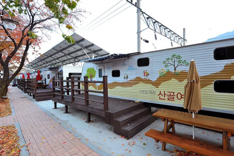 영주시 소백산역 캠핑장 10