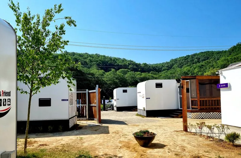 민머루 잼머 5