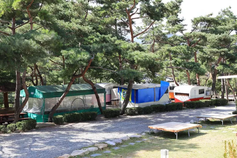 동산계곡 야영장 8