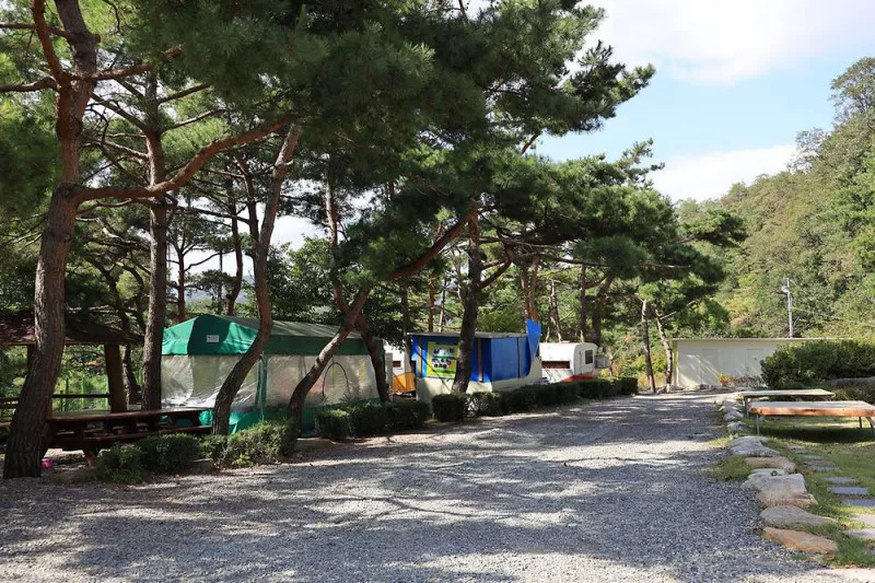 동산계곡 야영장 9