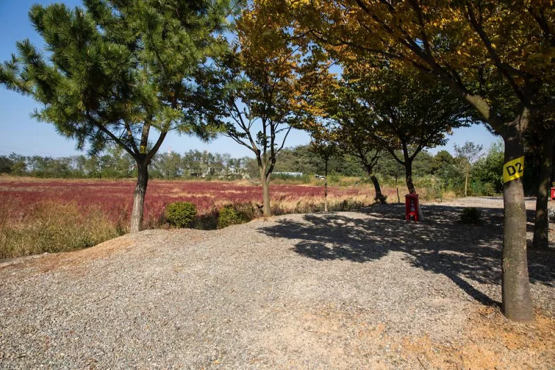 선재오토캠핑장 7