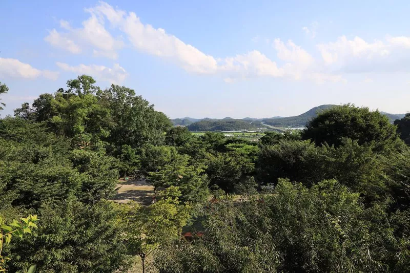 돌산캠핑장 11