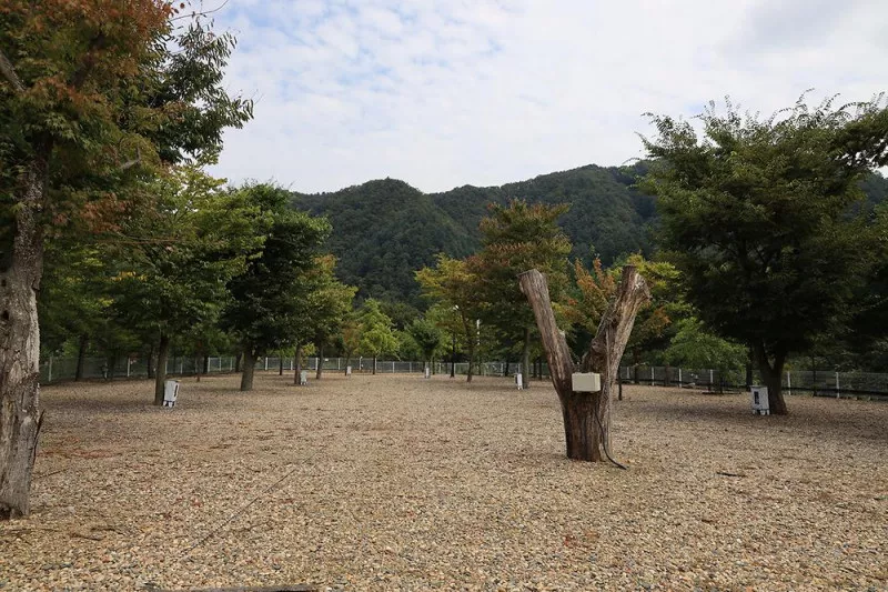 블루래빗 3