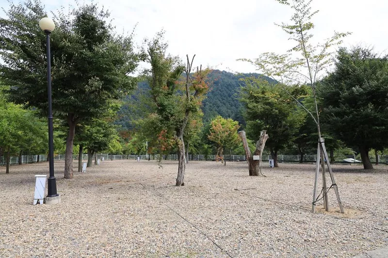 블루래빗 6
