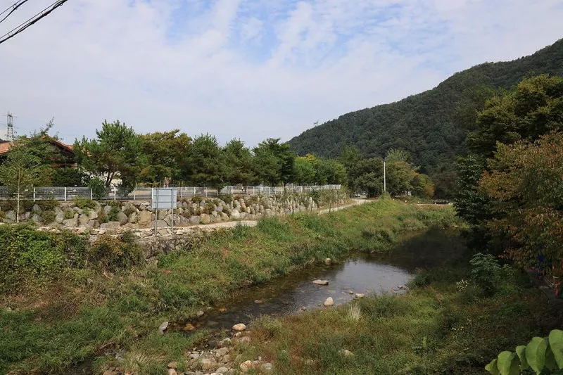 블루래빗 8