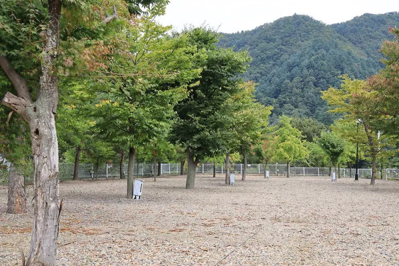 블루래빗 2