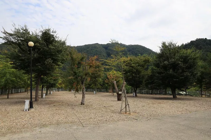 블루래빗 7
