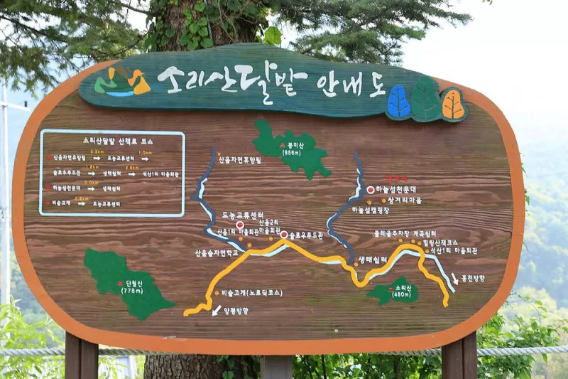 산대분교공공캠핑장 11
