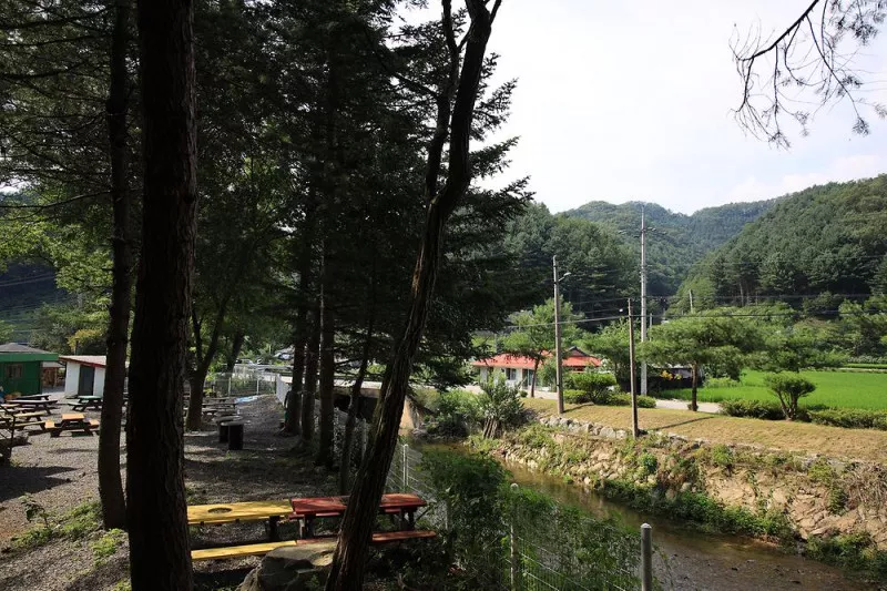 횡성 노다지야영장 불타는 삼촌 6