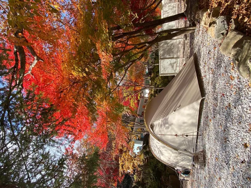 봉화별캠핑장 8