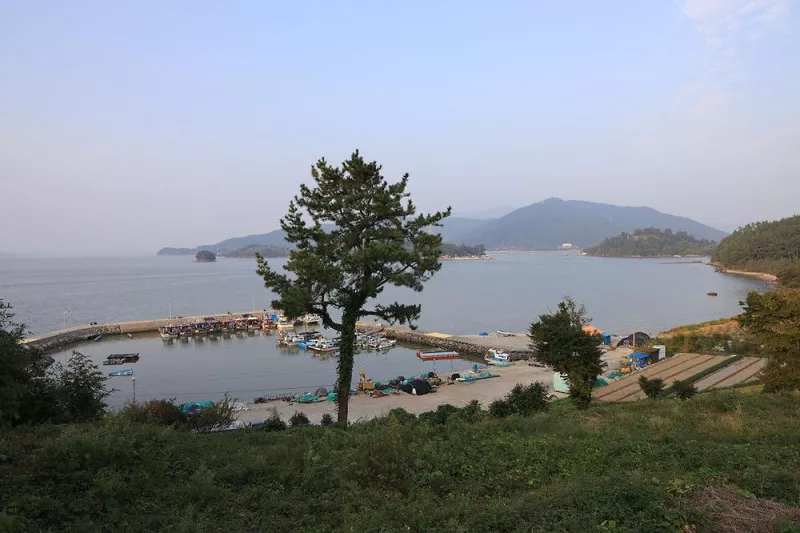 버드하우스 캠핑장 11