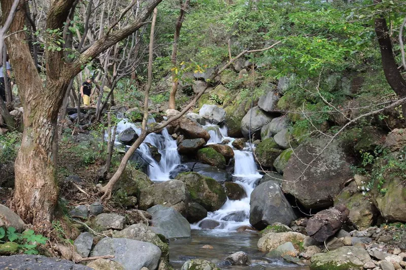 지리산리조트 글램핑 2