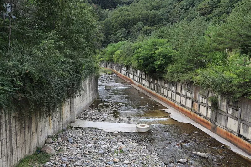 태백 눈꽃 야영장 11