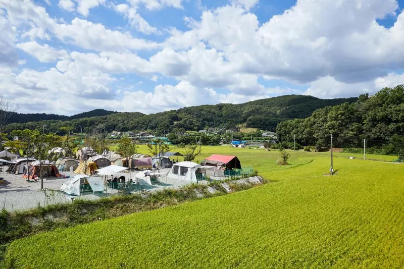풀내음캠핑장 9