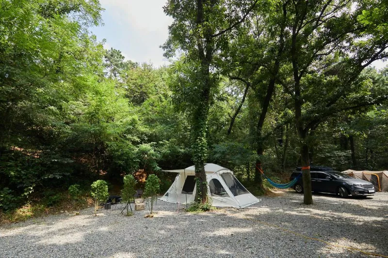 여울지숲속캠핑장 2