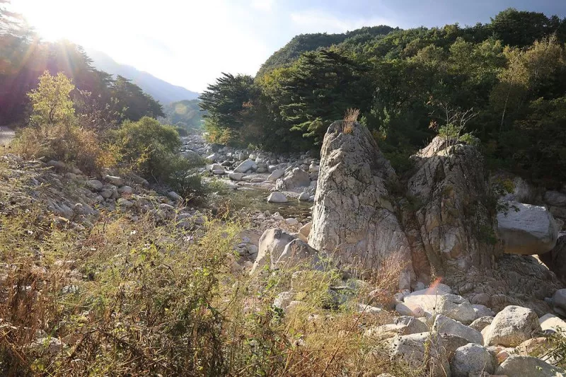 양양오색 휴랜드 야영장 2