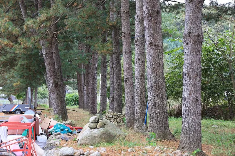팔봉참살이오토캠핑장 9