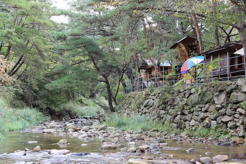 트리하우스계곡야영장 10