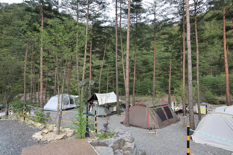 우니메이카 캠핑장 양양점 8