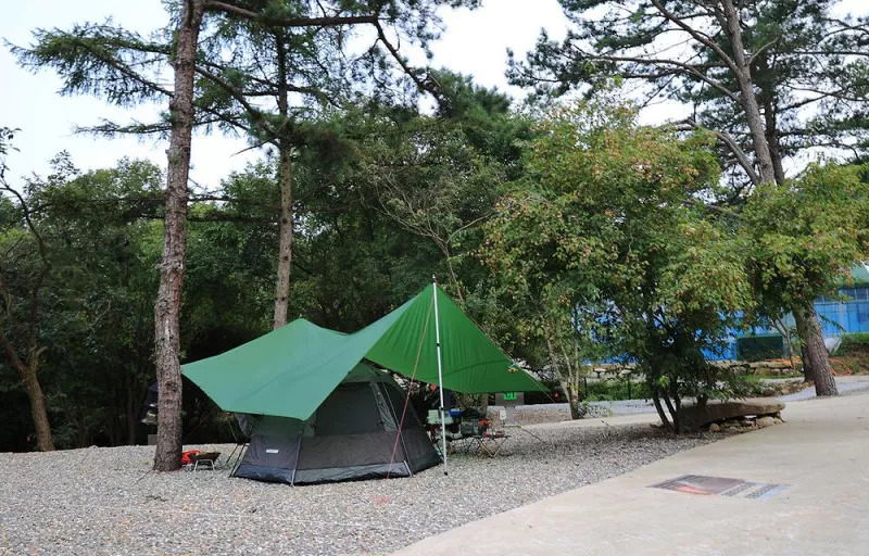휴먼캠핑장 8