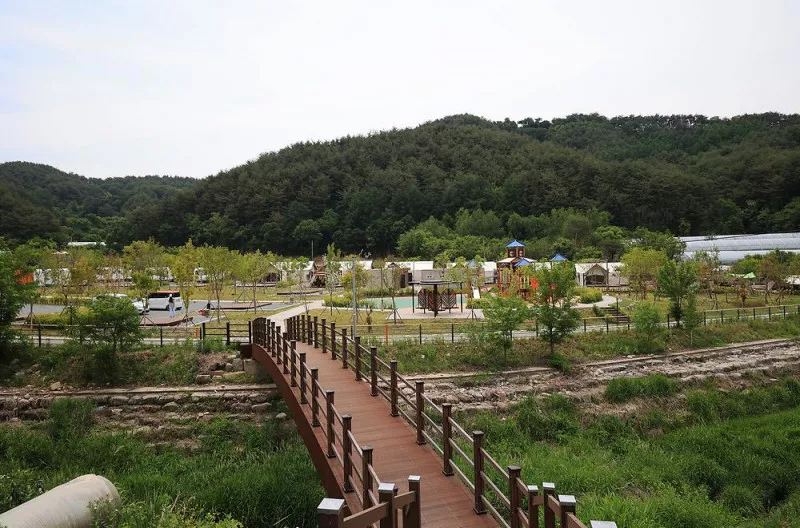 곰취향 가득한 팔랑골 캠핑장 8