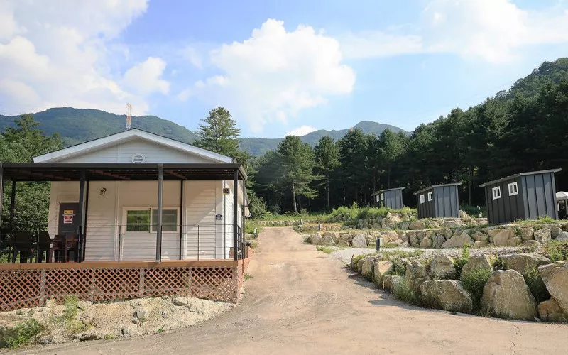 모짜르트 9