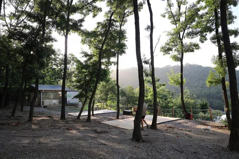 사르데냐 오토캠핑장 10
