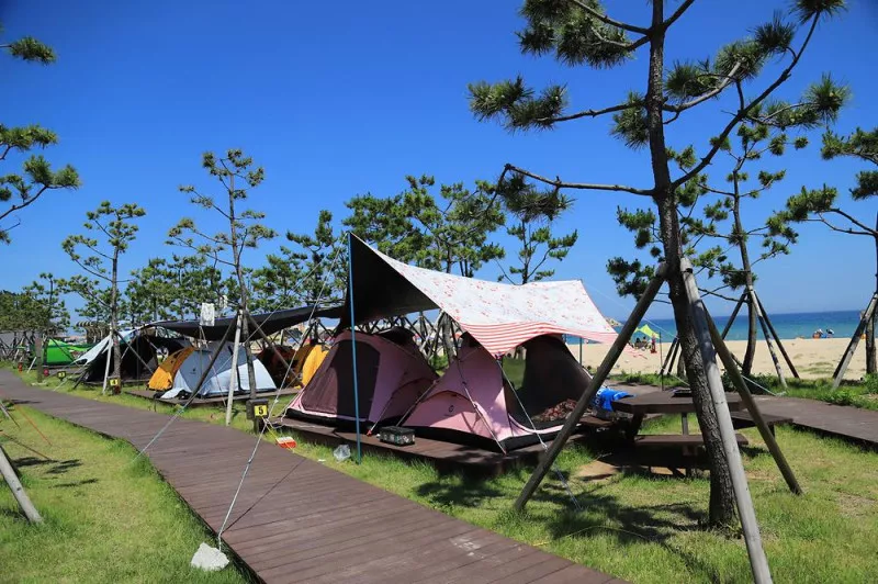 동산포 캠핑장 4