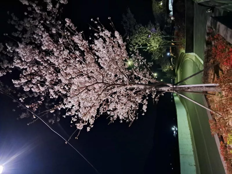 쌍근오토캠핑장 8