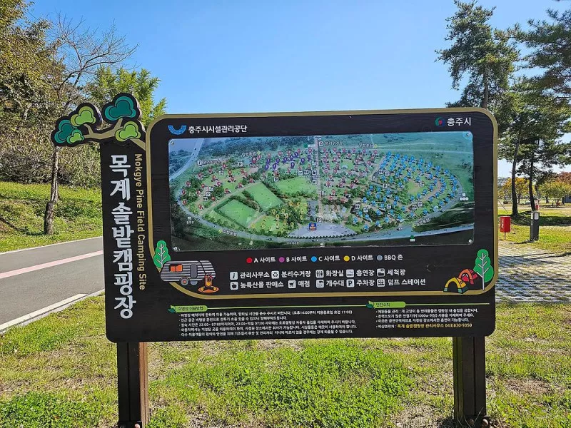충주 목계솔밭 캠핑장 2
