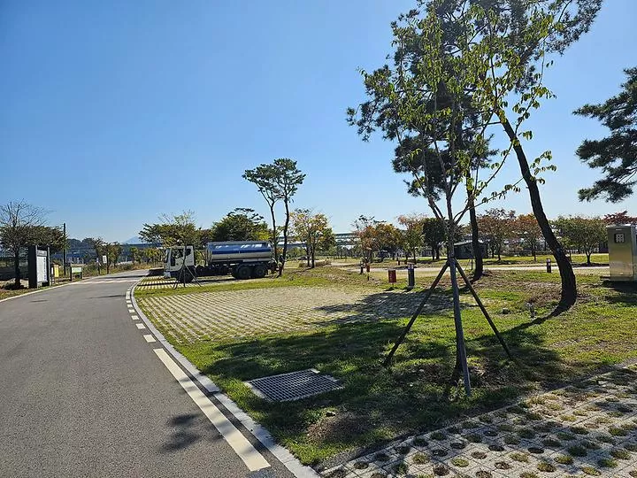 충주 목계솔밭 캠핑장 1