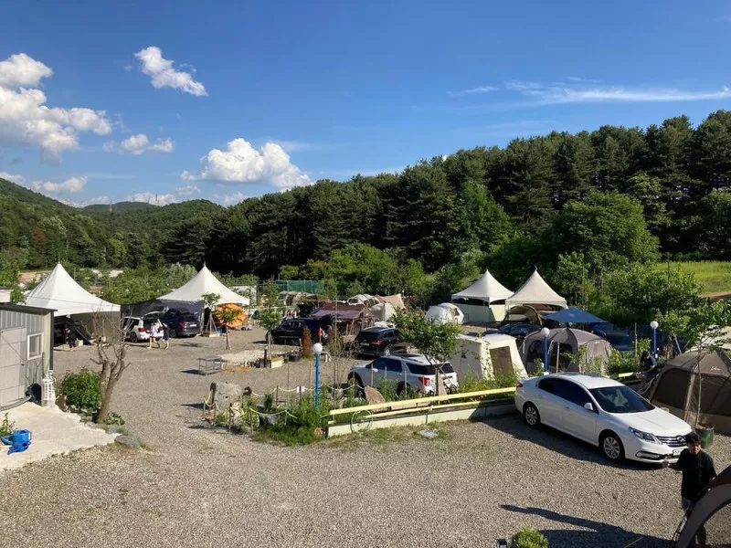 레인보우 9