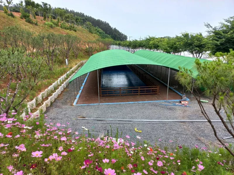 오즈캠핑 5