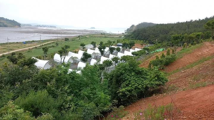 오즈캠핑 1