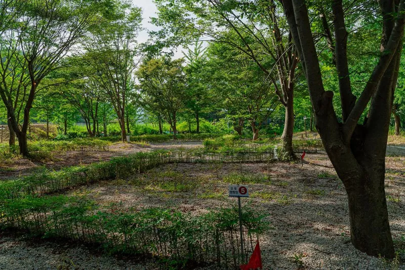 가리왕산 정원 캠핑장 3