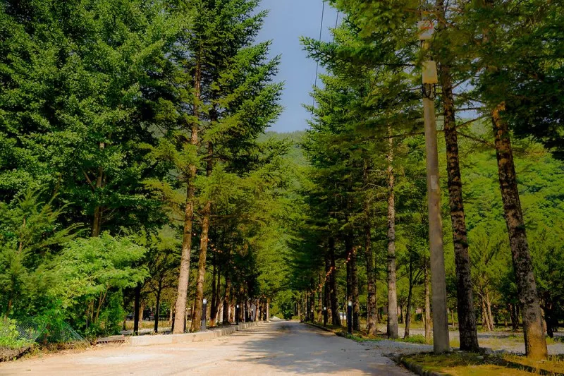 가리왕산 정원 캠핑장 10