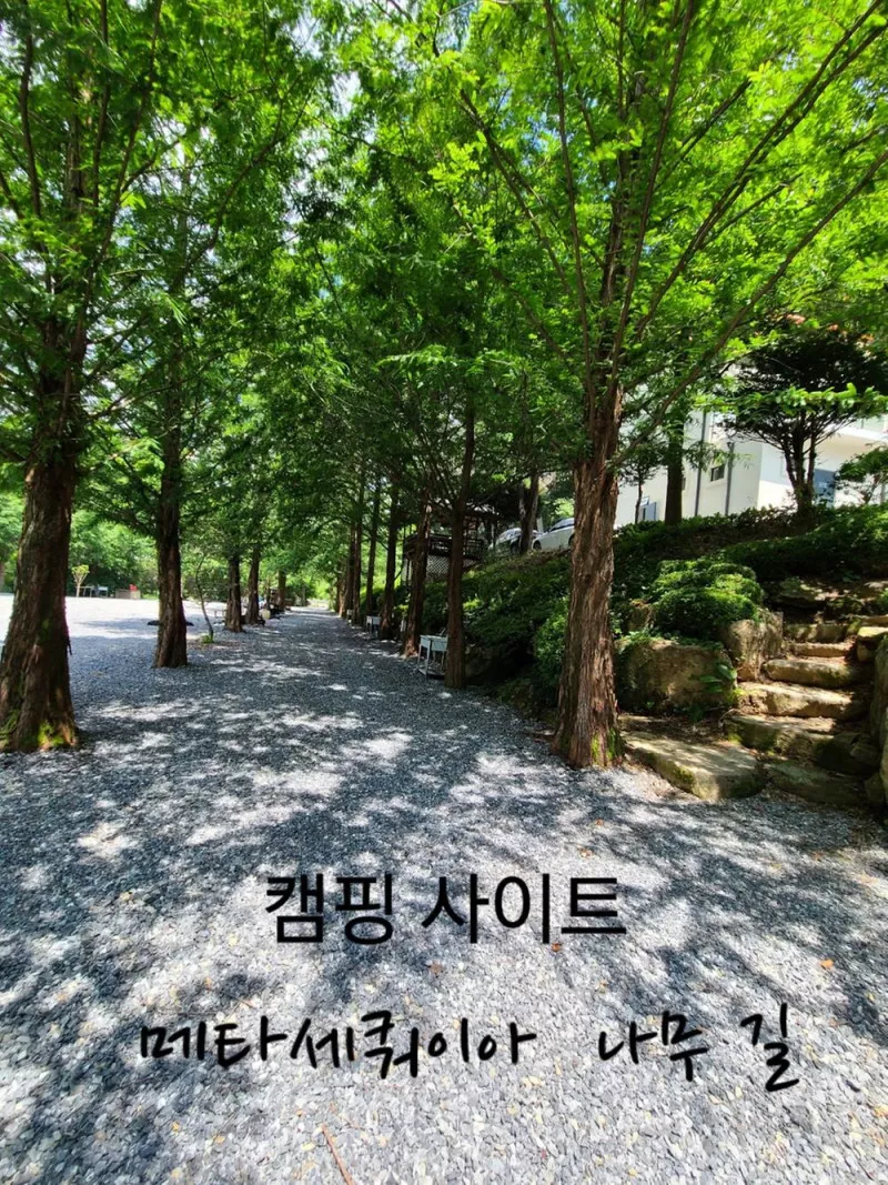더좋은날n캠핑 2