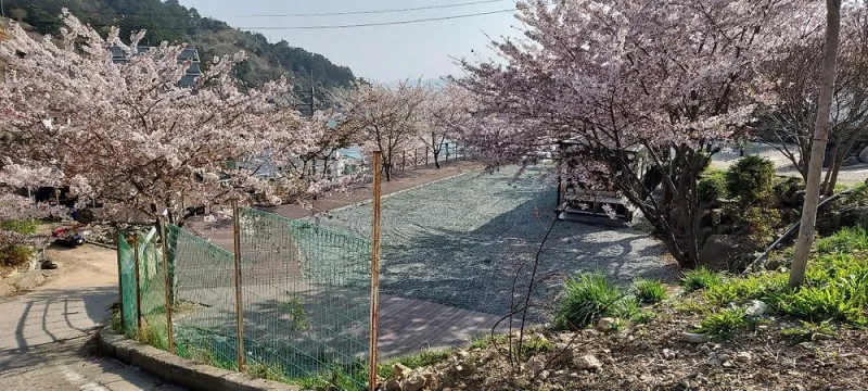 해양대국 4