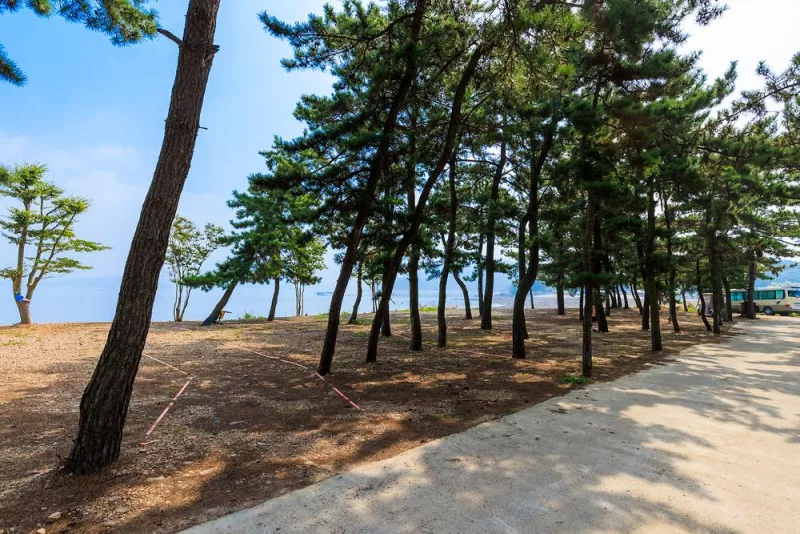 서산벌천포캠핑장 9