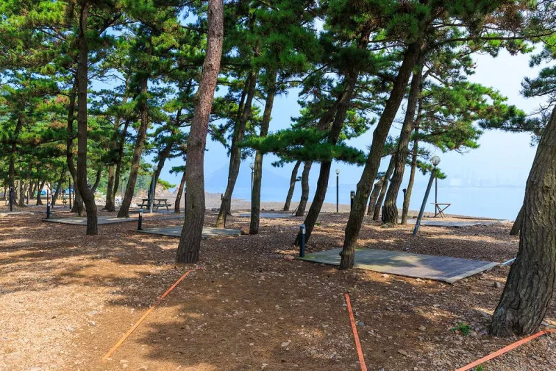 서산벌천포캠핑장 8