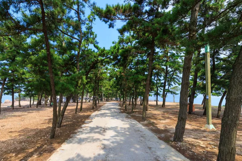 서산벌천포캠핑장 5