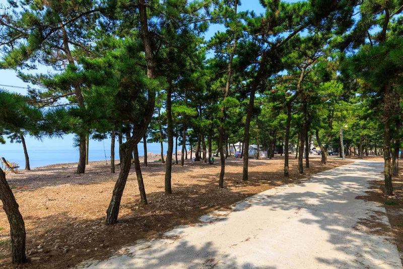 서산벌천포캠핑장 4