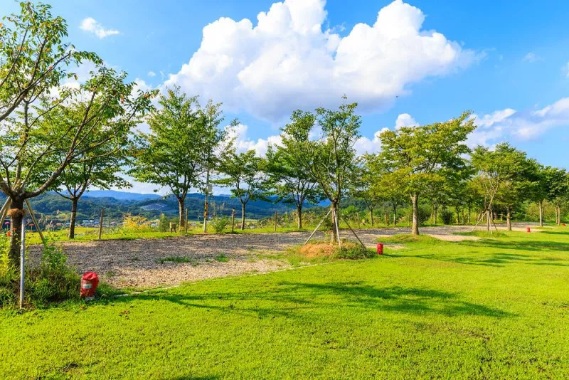 왕산골 관광농원 7